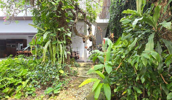 Rumah di Kemang , Jakarta Selatan Vibesnya Villa di Bali Super Keren Sejengkal Ke Jalan Raya, Jalan Privat 2