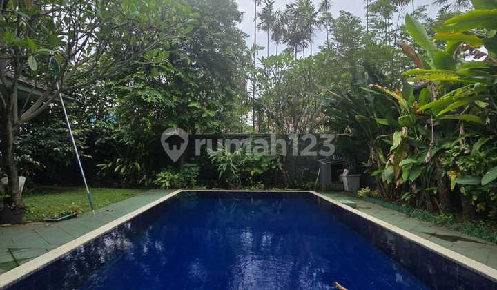 Termurah! Rumah Siap Huni Area Kemang Harga Mendekati NJOP