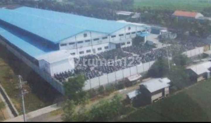 Pabrik Garment Aktif Di Pemalang - Jawa Tengah :