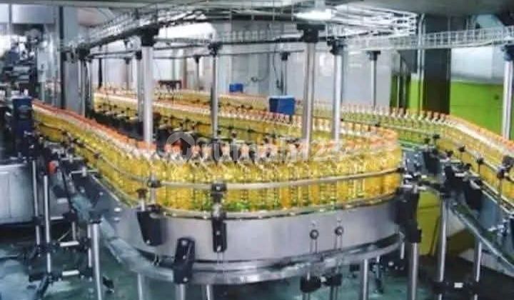 Pabrik Pengemasan Minyak Goreng Branded Aktif di Sidoarjo Jawa Timur