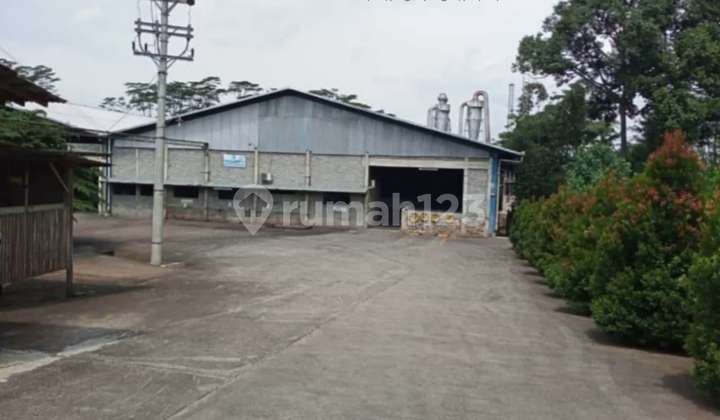 Plywood Factory in Batang Regency - Central Java Plywood Factory in Batang Regency - Central Java