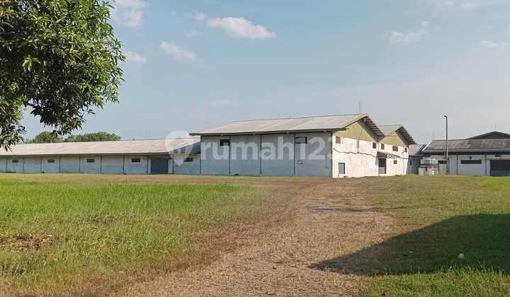 Sajadadi East Cirebon Velvet Fabric Production Textile Factory Sajadadi East Cirebon Velvet Fabric Production Textile Factory