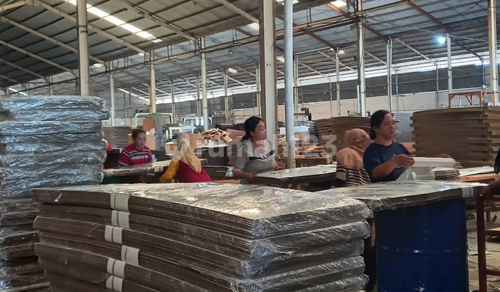 Pabrik Karton Masih Beroperasidi Kab. Sidoarjo