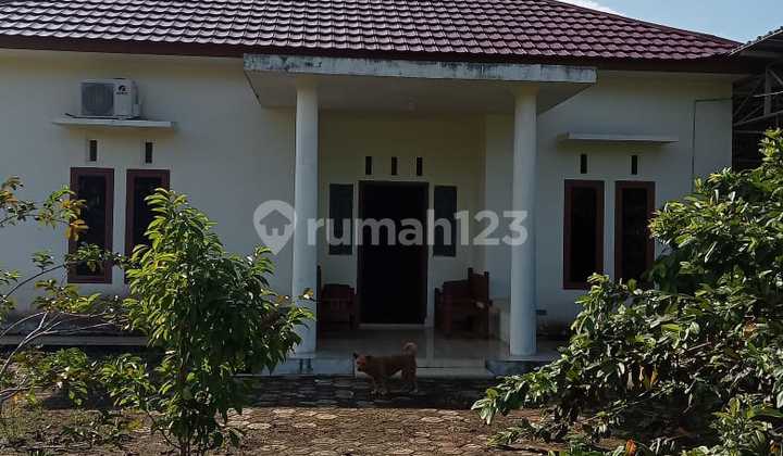 Dijual Murah Tanah Di Jalan Sungai Selan Pedindang Mangkol, Pangkalan Baru Bangka