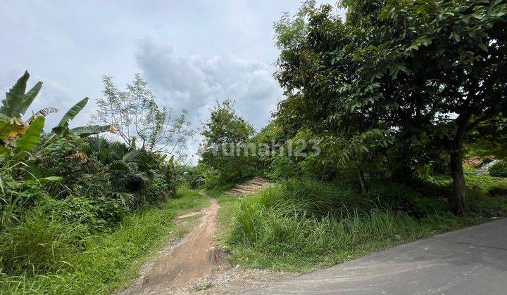 Anah Cocok Untuk Cluster Perumahan Dekat Gua Maria Bukit Kanada Rangkasbitung Banten 2