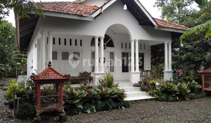 Rumah Klasik Cantik Nan Cantik Hanya Hitung Tanah (Bu)Di Ciomas, Bogor 1