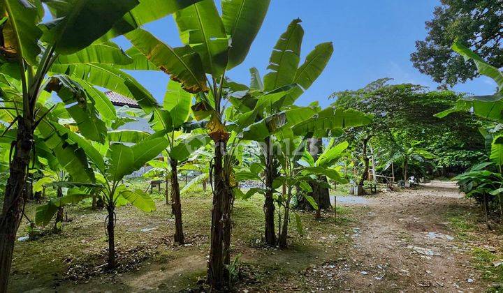Kavling Besar Premium Di Kebayoran Baru Hang Jebat Hang Tuah 5