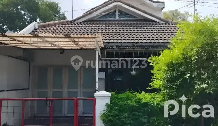Rumah Sayap Pajajaran Dekat Pasirkaliki Bandung Rumah Sayap Pajajaran Dekat Pasirkaliki Bandung