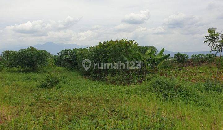Tanah Cijapati Srirahayu Cikancung Dekat Majalaya Rancaekek 4