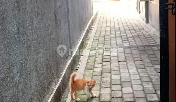 4 Rumah Kontrakan Cisaranten Kidul Dekat Soekarno Hatta 2
