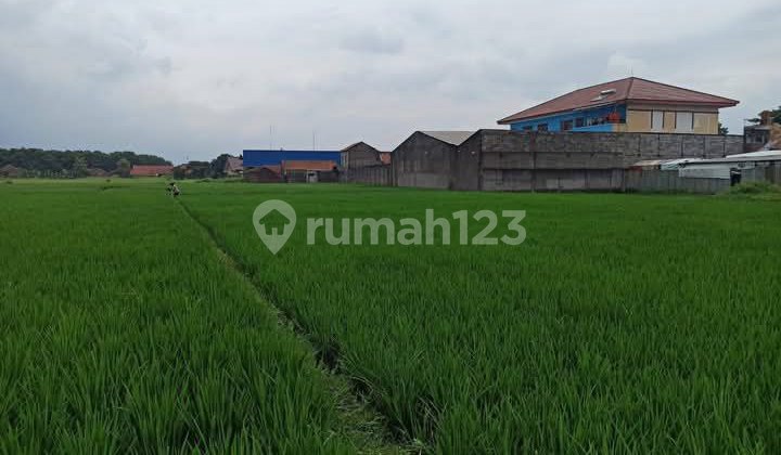 Tanah Shm Di Rancaekek Dekat Tol Cileunyi 2