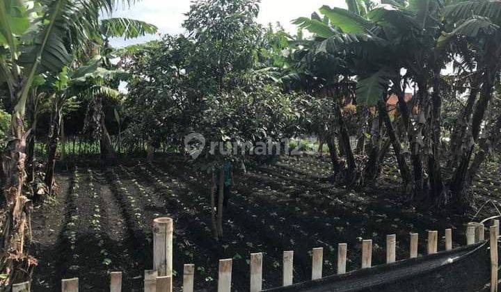 Tanah mainroad cihanjuang dekat univ advent bandung barat
 1