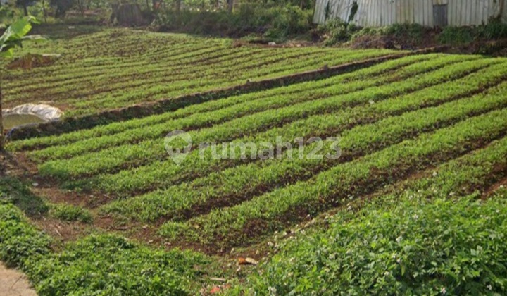 Tanah Kaling Karyabakti Cipageran Kolmas Cimahi