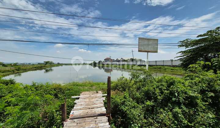 Rare Land in Cerme Gresik Near Toll Road Suitable for Warehouse and Factory