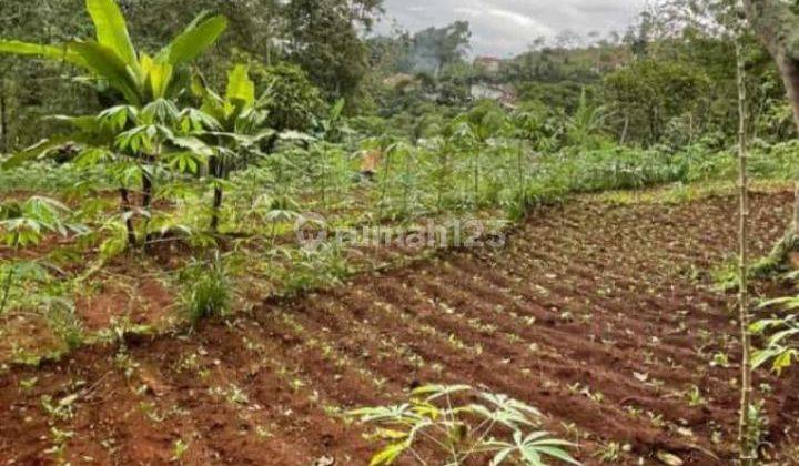 Tanah kebun murah bagus utk villa manglayang Sindanglaya bandung timur 1