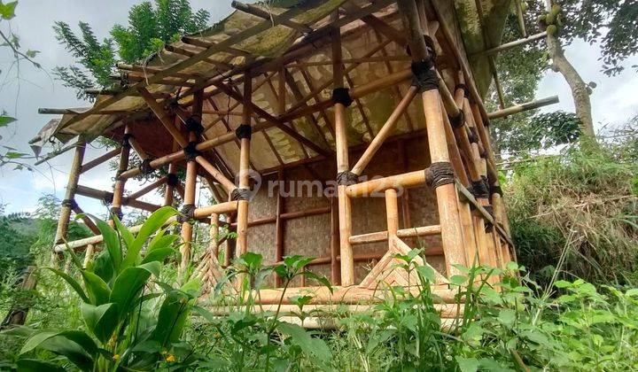 Tanah kebun murah bagus utk villa Ciwidey Gambung  1