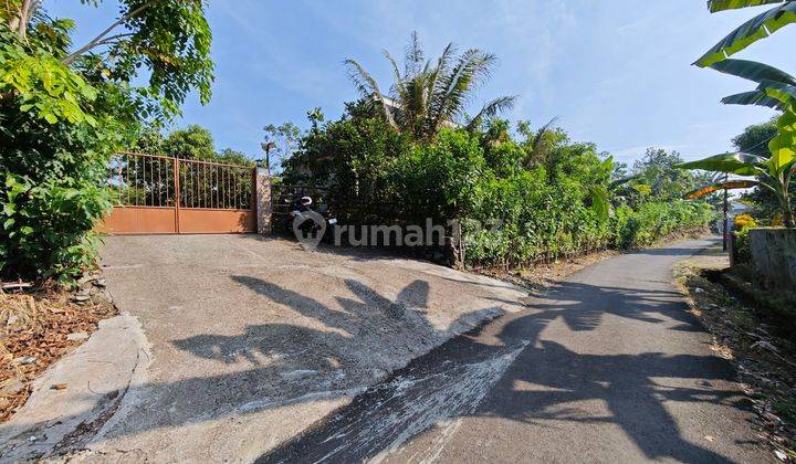 Tanah di Ciomas Permai Cocok Untuk Cluster Perkebunan Atau Villa 1