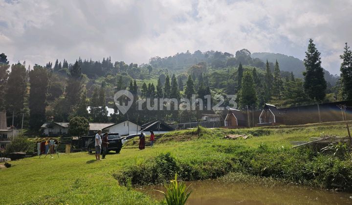Tanah Puncak Dekat Pasar Cisarua Royal Safari Dan Damar Langit 