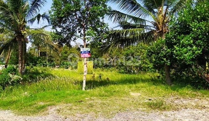 TANAH JUAL SUKADANAHAM - TANJUNG KARANG BARAT , BANDAR LAMPUNG 