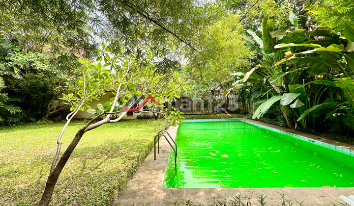 Rumah Satu Lantai Halaman Luas dan Asri Lokasi Premium Kemang Jakarta Selatan Rumah Satu Lantai Halaman Luas dan Asri Lokasi Premium Kemang Jakarta Selatan