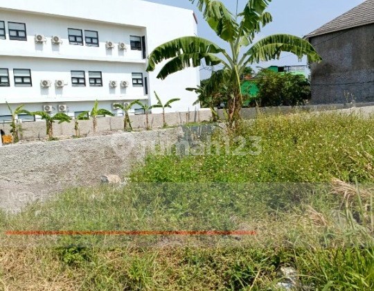 Cheap garden land in Sayap Sayang near Puri Indah Jatinangor.