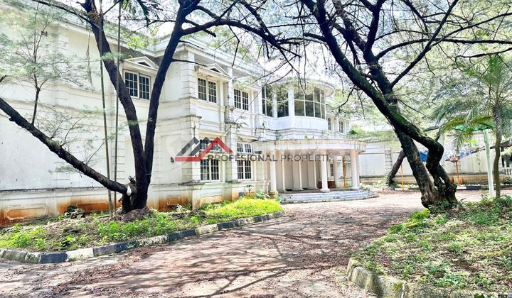 Rumah Besar Murah Dibawah NJOP Strategis di Jalan Utama Kemang