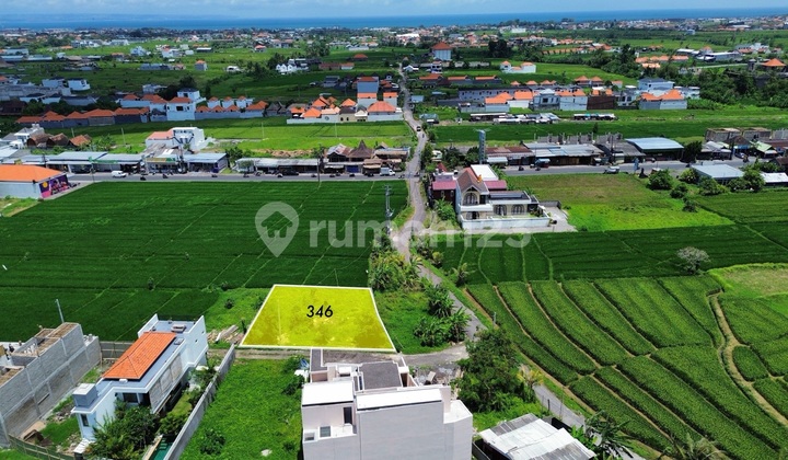 Canggu Munggu Tanah Pemandangan Sawah Bebas Banjir