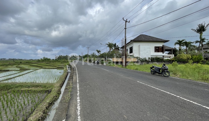 Tabanan View Sea and Rice Fields Villa Environment