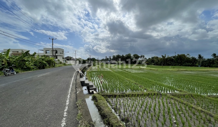 View Laut Dan Sawah Dekat Ciputra Tabanan