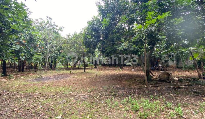 Tanah Murah Dekat Ke Mrt Lebak Bulus Lokasi Super Strategis 2