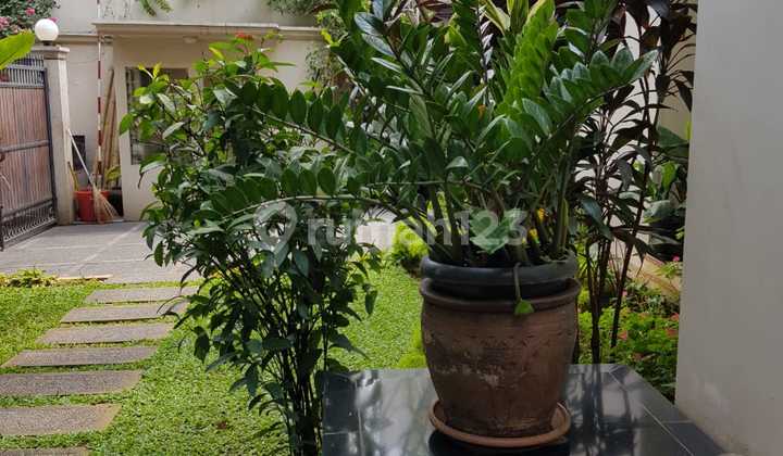 Dijual Cepat Rumah Pondok Indah 2