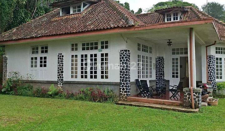 Villa Strategis Tanah Luas Jalan Raya Puncak Pass Cisarua Bogor 1