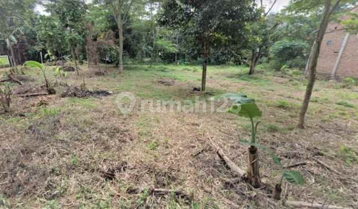 Tanah Hoek Siap Bangun Desa Taman Rahayu Setu Bekasi