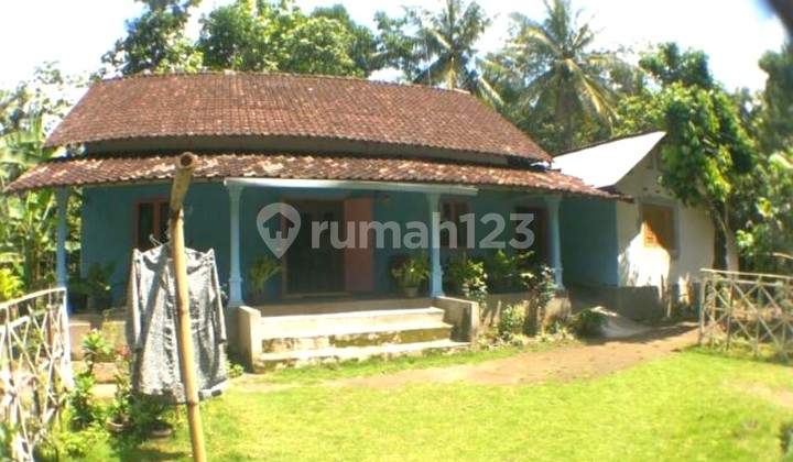 Cheap Land with Old House Bonus in Butun Village, Gandusari, Blitar Cheap Land with Old House Bonus in Butun Village, Gandusari, Blitar
