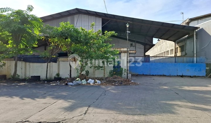 Gudang Kapuk Kamal Muara Dekat Elang Laut PIK Jakarta Utara Gudang Kapuk Kamal Muara Dekat Elang Laut PIK Jakarta Utara