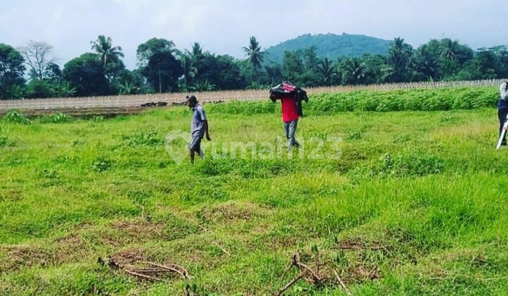 Lahan utk Cluster didkt Un Sahid Bogor 2
