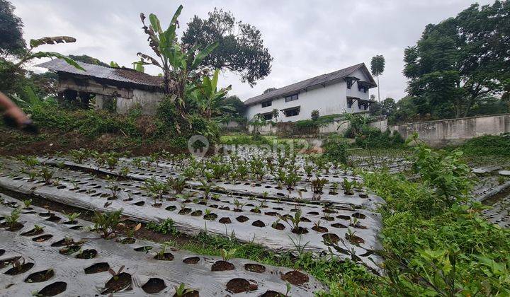 Tanah komersial di Jl Setiabudi Bandung 2