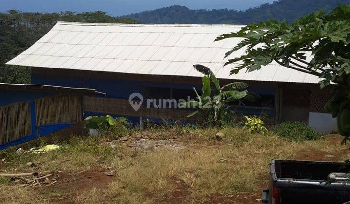 Lahan Utk Peternakan Ayam Di Cianjur.  2