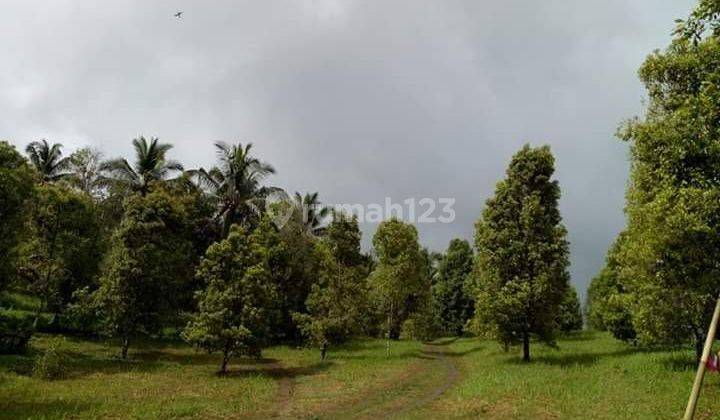 Lahan Utk Cluster di Pamulang, Tangsel. 2