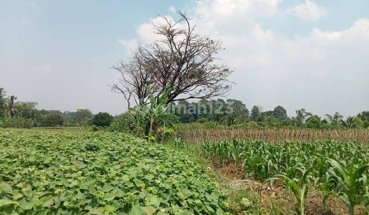 Lahan Perumahan di kec Tamansari Bogor 2