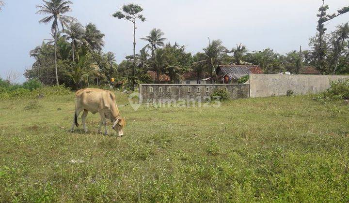 Tanah komersial bekas Tambak Udang 2