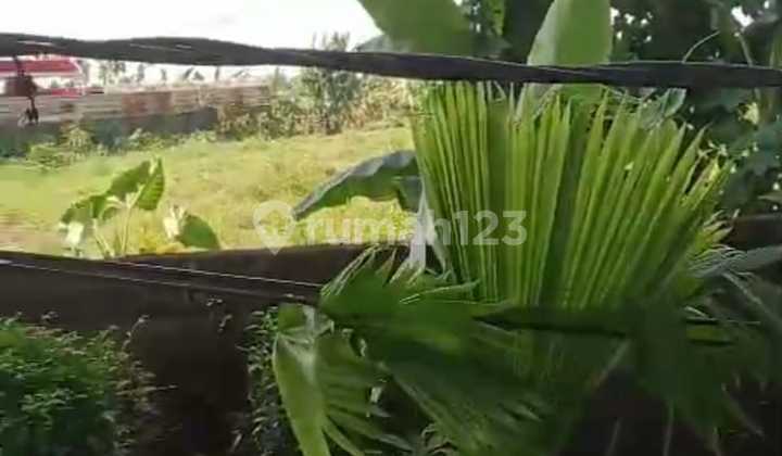 LAHAN KOMERSIAL DI JLN SHOLEH ISKANDAR BUKIT CIMANGGU BOGOR  1
