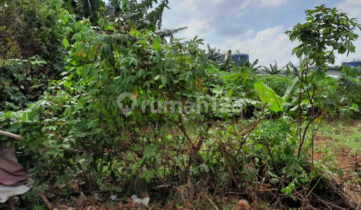 LAHAN UNTUK PENGEMBANG PROFERT