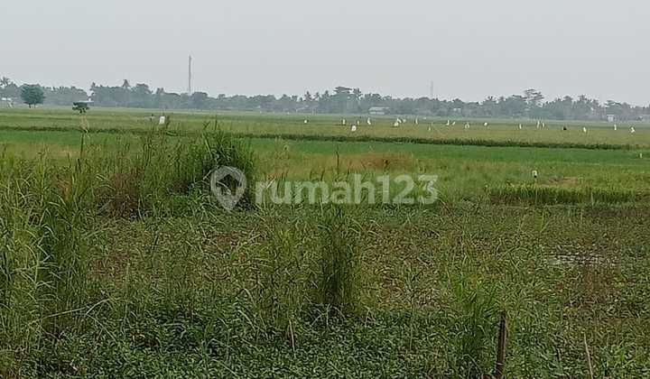 Lahan Utk Perumahan Di Babelan Bks