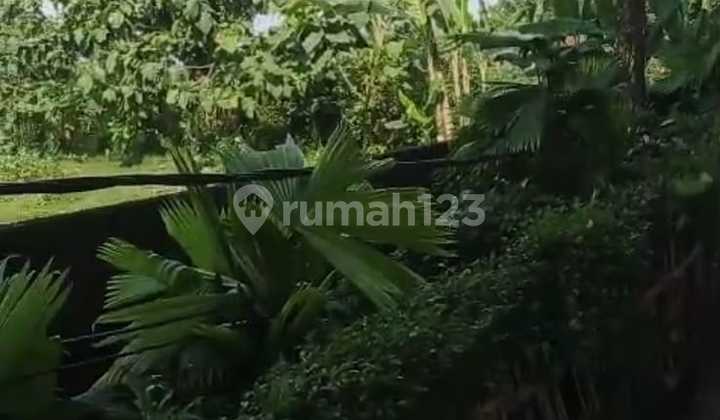 LAHAN KOMERSIAL DI JLN SHOLEH ISKANDAR BUKIT CIMANGGU BOGOR  2