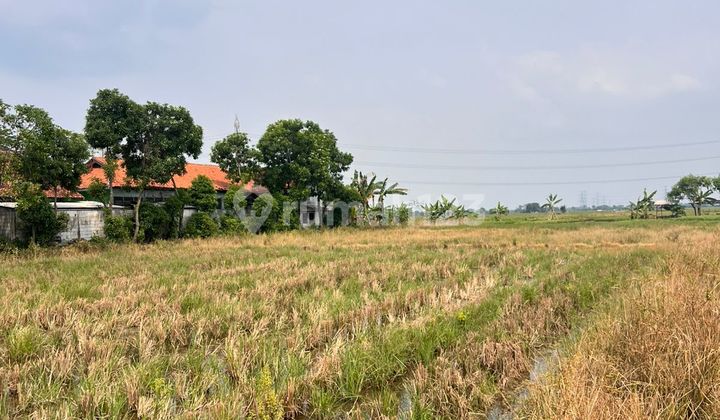 Land for Sale in North Cikarang Land for Sale in North Cikarang