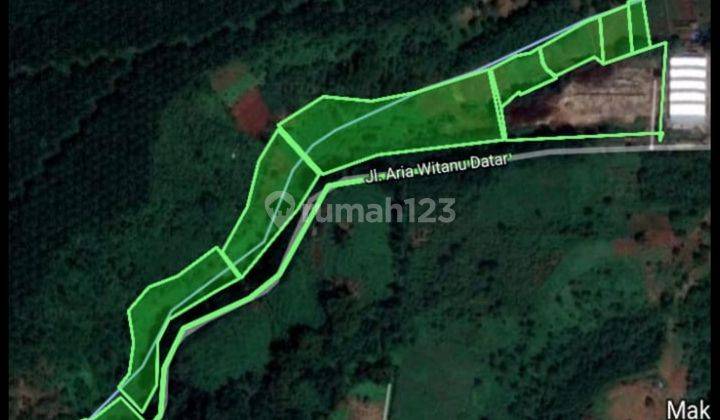 Kavling tanah di Jl Aria Witanu datar, sebagian masih sawah 1