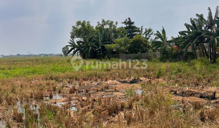 Land for Sale in North Cikarang Land for Sale in North Cikarang