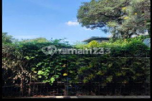 Tanah di Sunter menghadap danau Tanah di Sunter menghadap danau