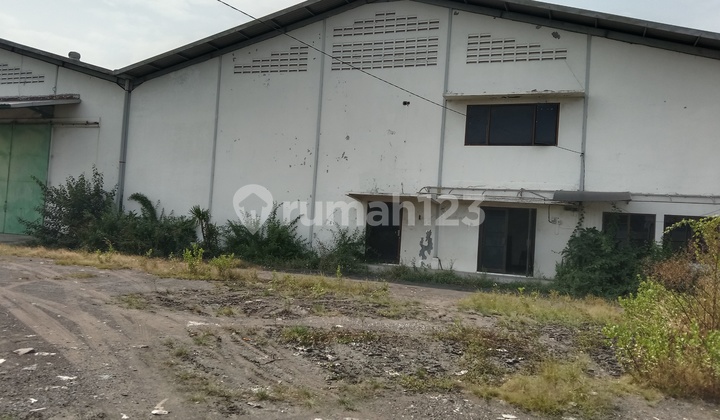 For Rent Warehouse In Kalianak Surabaya East Java